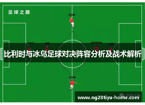 比利时与冰岛足球对决阵容分析及战术解析